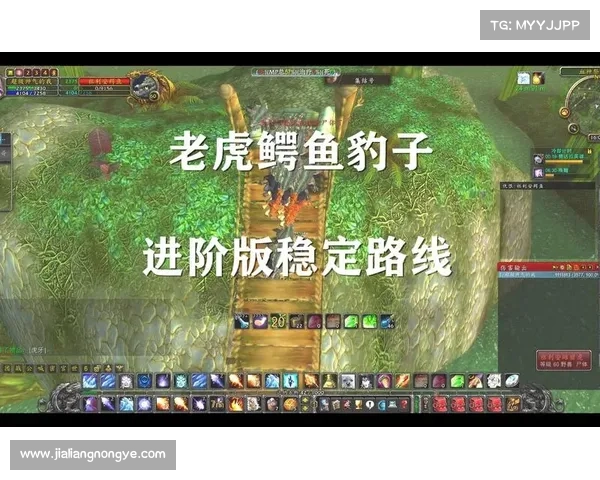 魔兽世界怀旧服：祖格刷老虎坐骑任务攻略